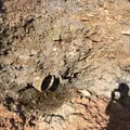 Buries asbestos