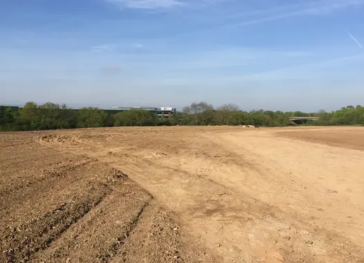 Mountpark case study